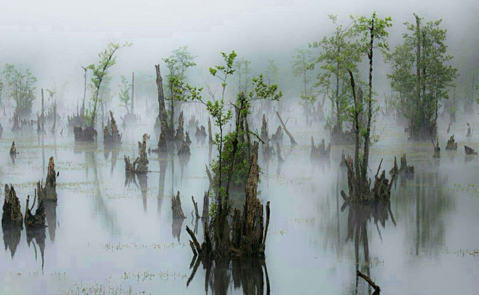 دریاچه عجیب ممرز