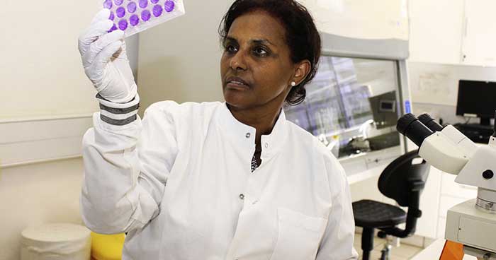 سگنت کلمو | Segenet Kelemu