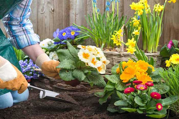 پرورش گل و گیاه