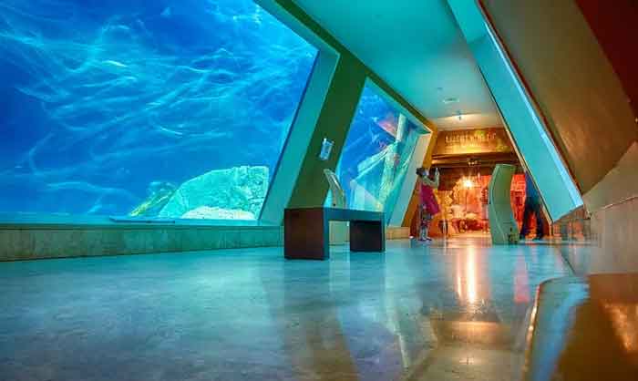 آکواریوم سی لایف