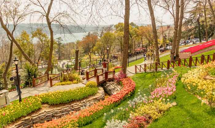 پارک امیرگان