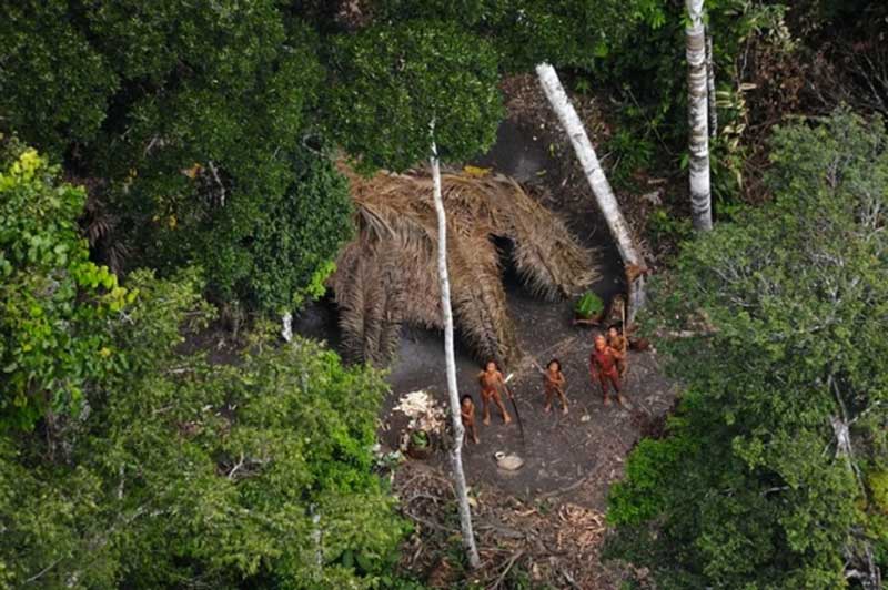 جزیره آدمخوار در جنگل آمازون
