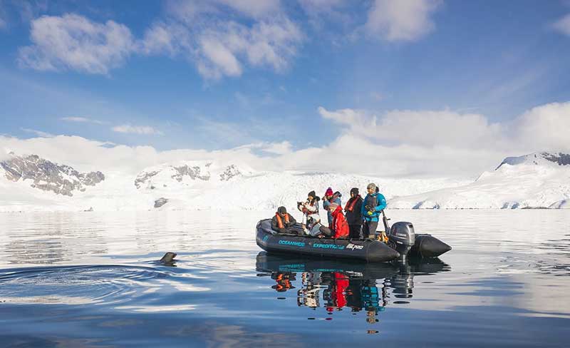 حقایق جالب و عجیب درباره قطب جنوب