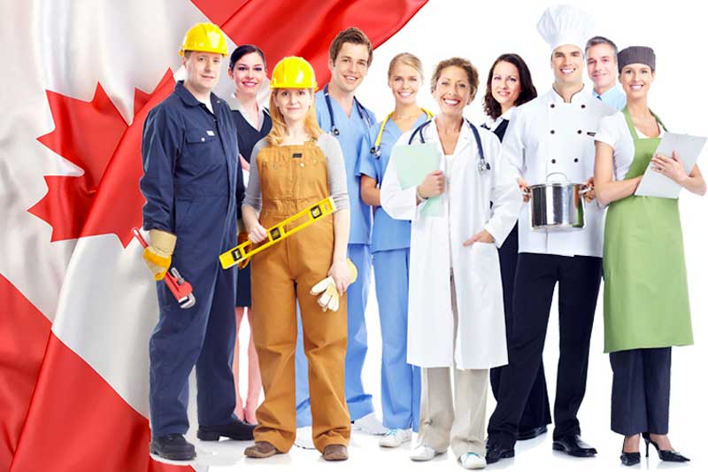 چه برنامه‌های مهاجرت کاری در کانادا وجود دارد؟