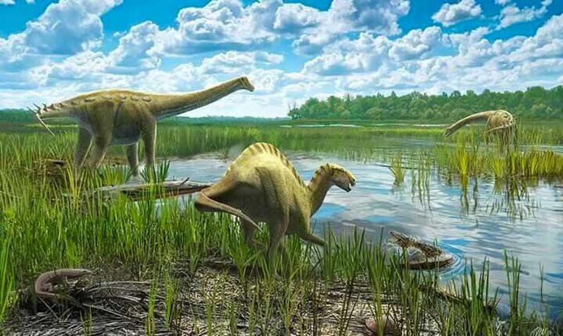 نحوه بوجود آمدن دایناسورها و موجودات غول پیکر در دوره کرتاسه چیست؟