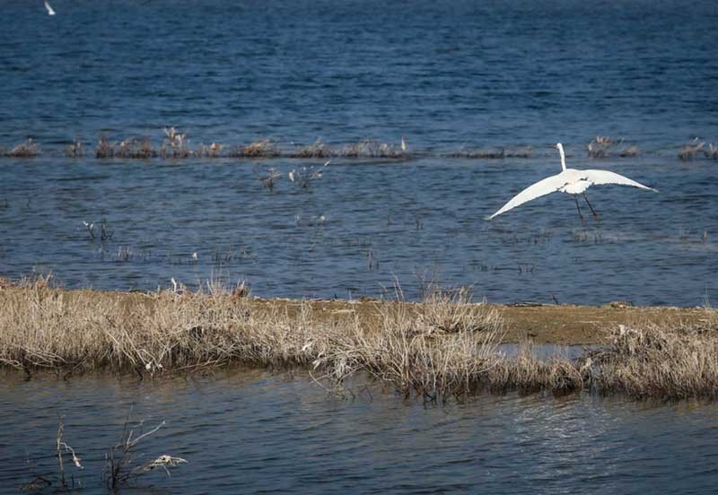 تالاب هورالعظیم