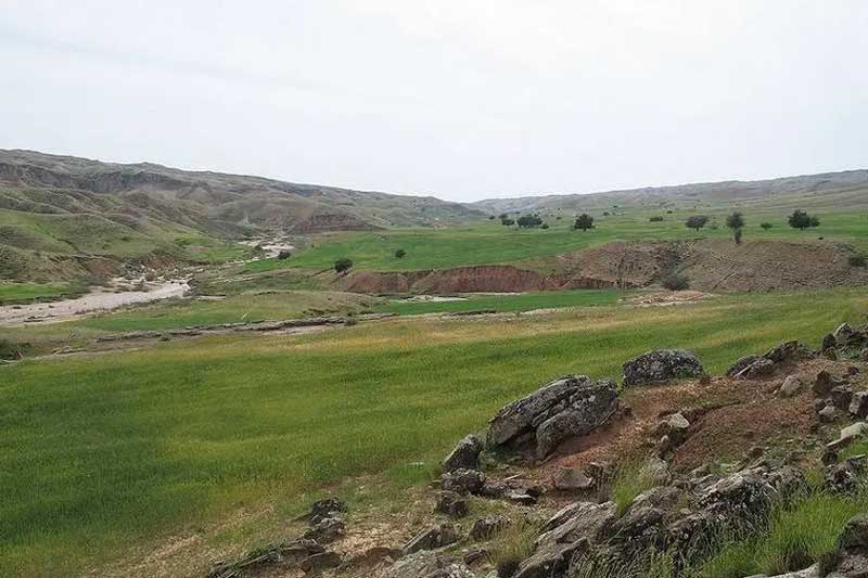 منطقه حفاظت شده چهل پا