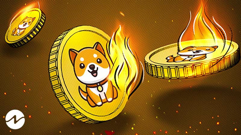 Baby Doge Coin