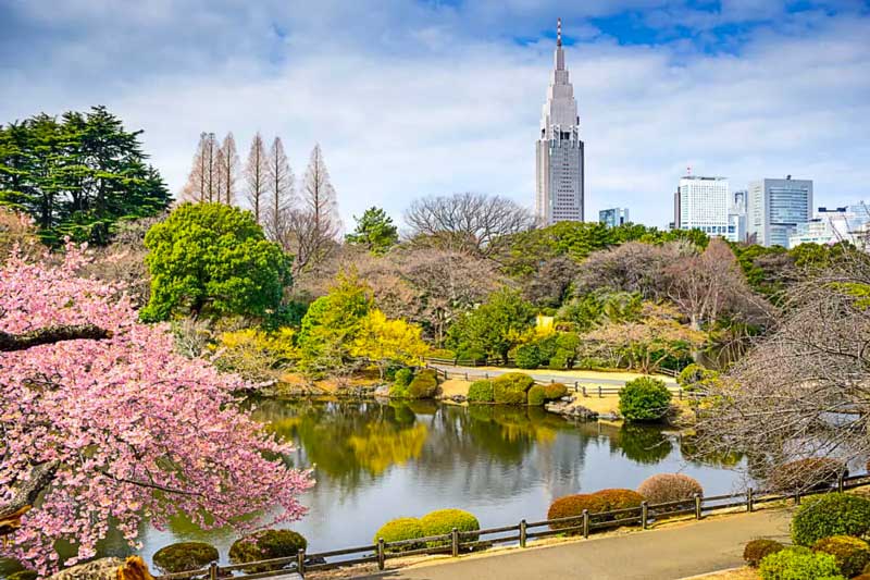 باغ ملی شینجوکو گیون (Shinjuku Gyoen National Garden)