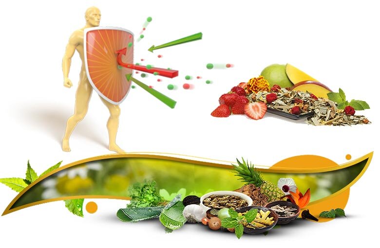 ۷ مواد غذایی برای تقویت سیستم ایمنی بدن