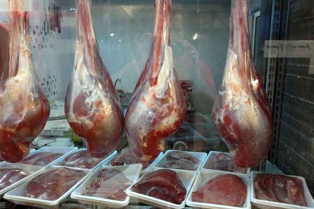 قیمت گوشت شتر به ۸۵۰ هزار تومان رسید!