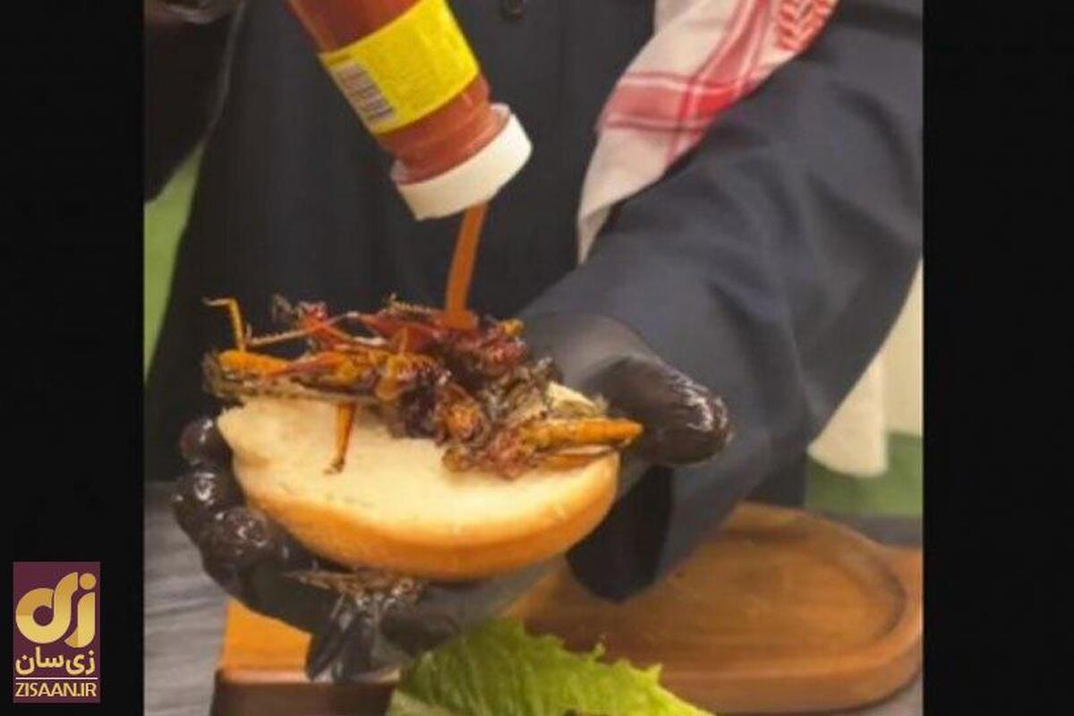 برگر ملخ در عربستان که باعث سروصدای زیادی شده است + ویدیو