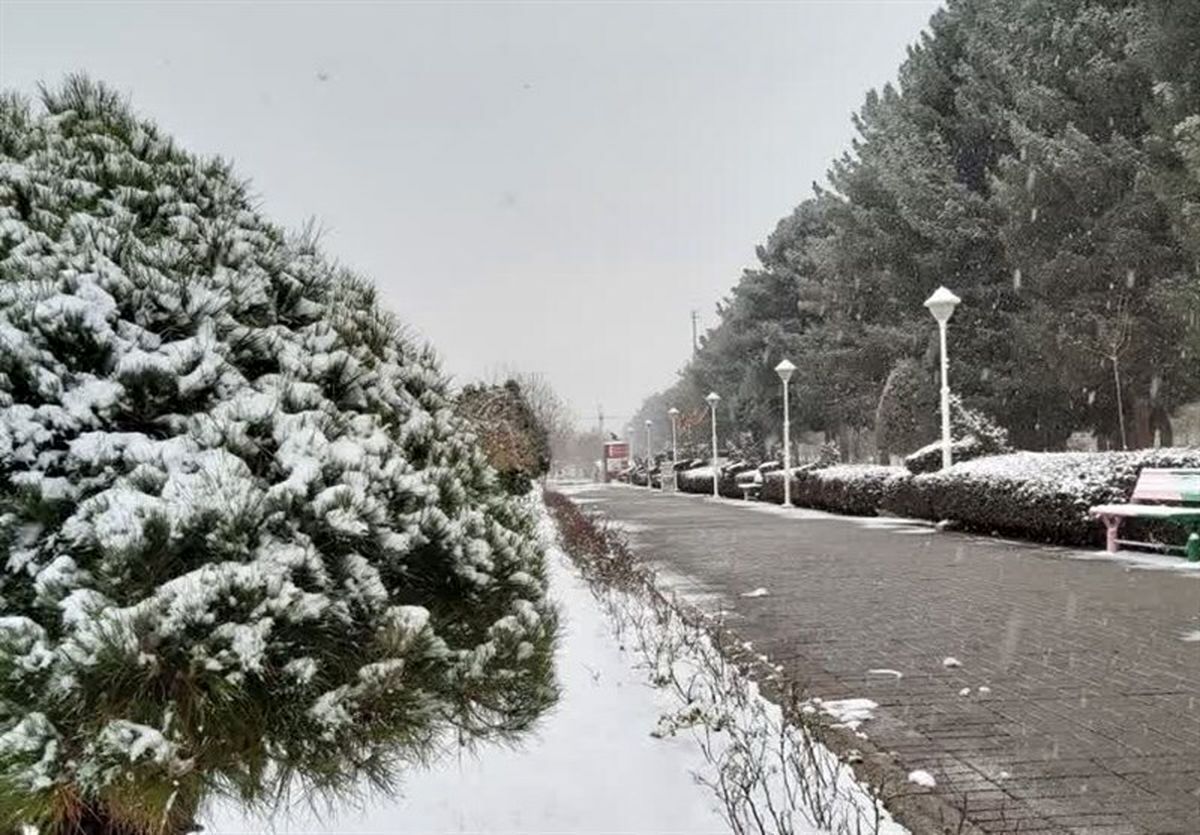 تهرانی‌ها احتمالا امسال شاهد بارش برف نخواهند بود!
